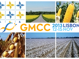 gmcc13_banner.png